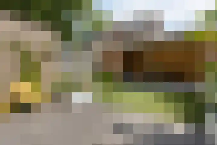 Lijsterbeslaan 31 Rosmalen thumbnail 38
