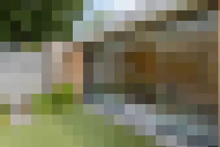 Lijsterbeslaan 31 Rosmalen thumbnail 39