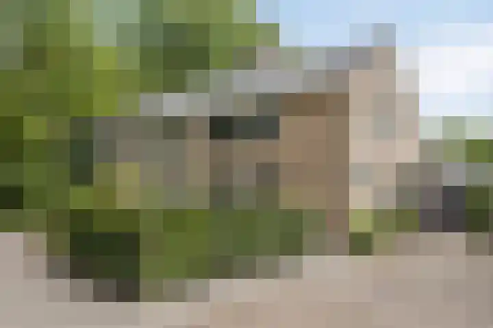 Lijsterbeslaan 31 Rosmalen thumbnail 4