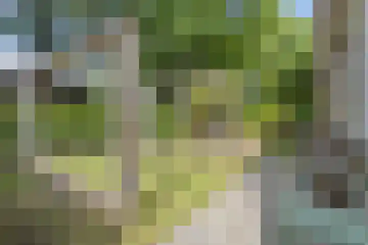 Lijsterbeslaan 31 Rosmalen thumbnail 43