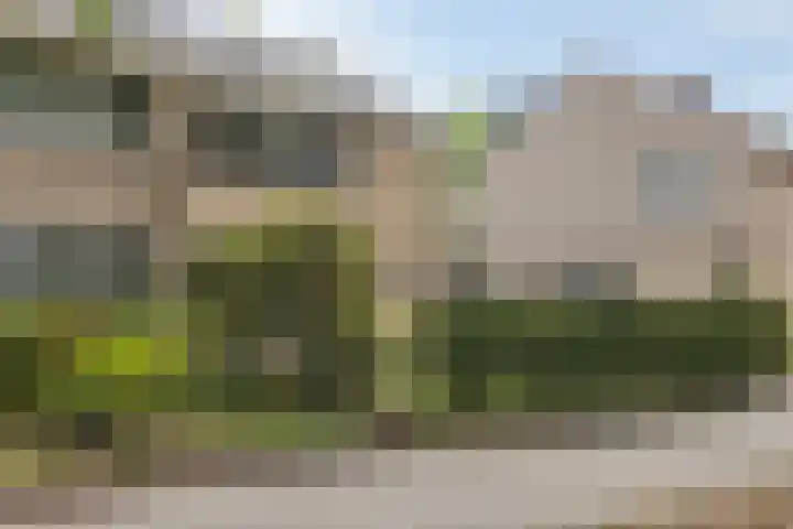 Lijsterbeslaan 31 Rosmalen thumbnail 45