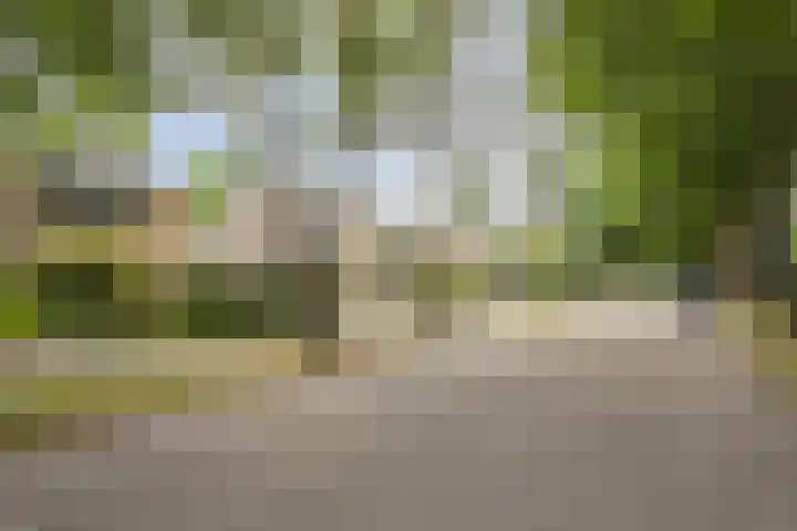 Lijsterbeslaan 31 Rosmalen thumbnail 46