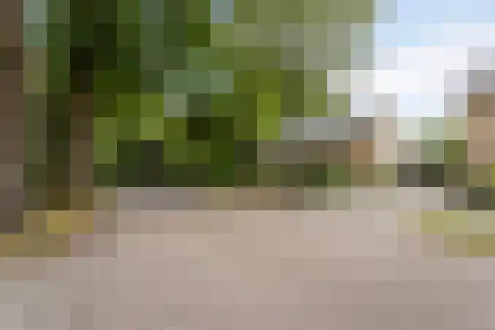 Lijsterbeslaan 31 Rosmalen thumbnail 47