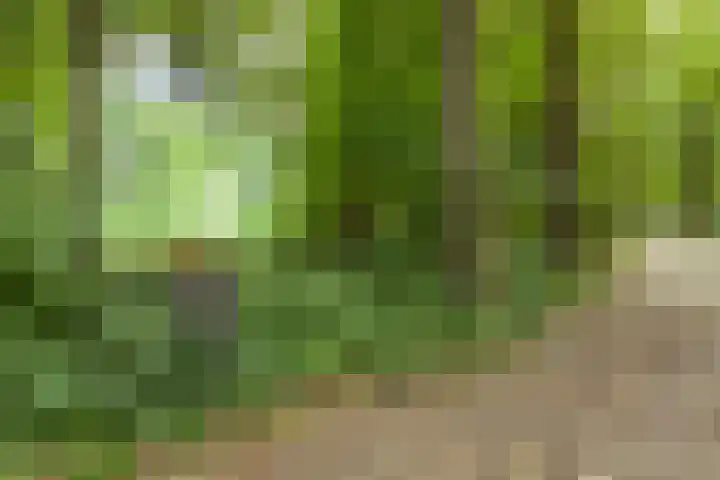 Lijsterbeslaan 31 Rosmalen thumbnail 48