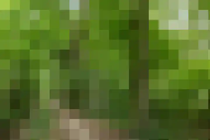 Lijsterbeslaan 31 Rosmalen thumbnail 49