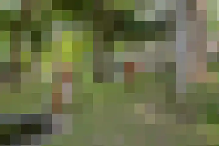 Lijsterbeslaan 31 Rosmalen thumbnail 51