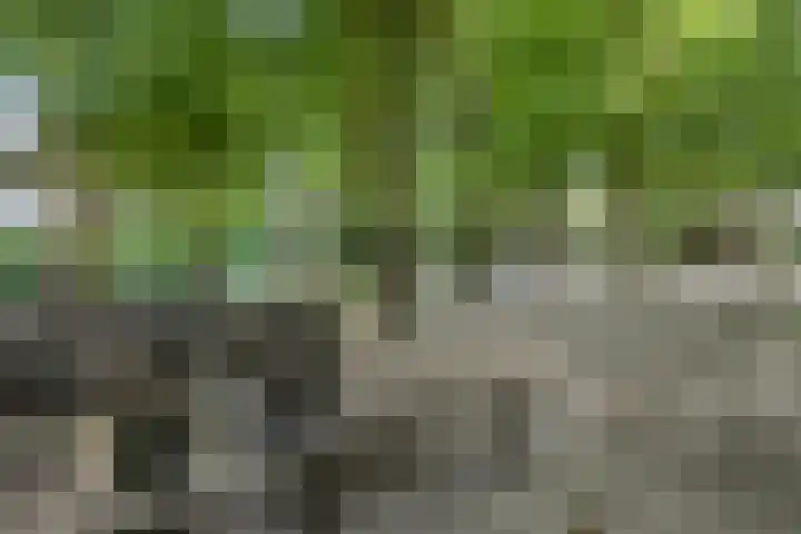 Lijsterbeslaan 31 Rosmalen thumbnail 52