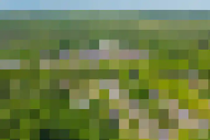 Lijsterbeslaan 31 Rosmalen thumbnail 54