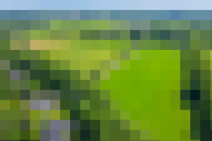 Lijsterbeslaan 31 Rosmalen thumbnail 56