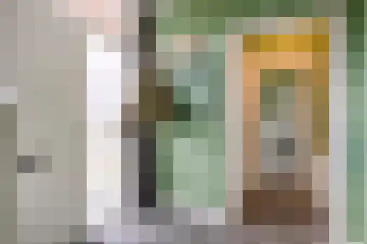 Lijsterbeslaan 31 Rosmalen thumbnail 6