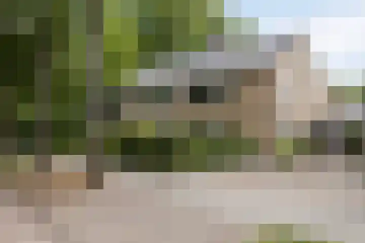 Lijsterbeslaan 31 Rosmalen thumbnail 60