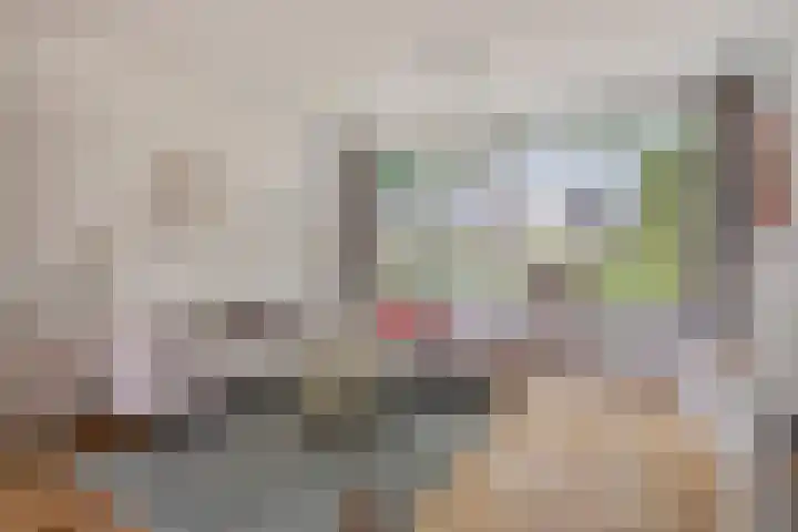 Lijsterbeslaan 31 Rosmalen thumbnail 8