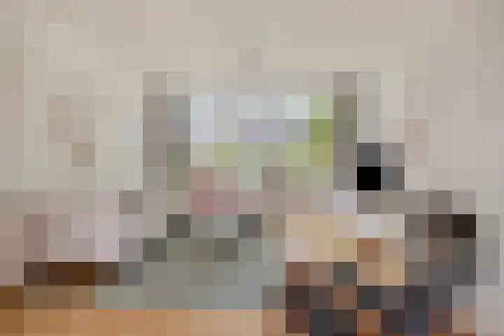 Lijsterbeslaan 31 Rosmalen thumbnail 9