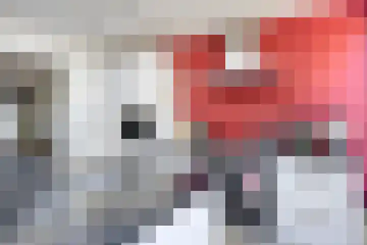 Lijsterbeslaan 32 Rosmalen thumbnail 15