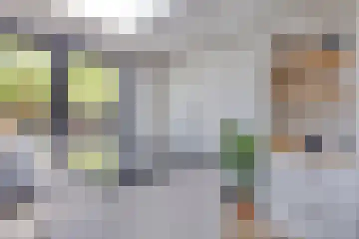 Lijsterbeslaan 32 Rosmalen thumbnail 16