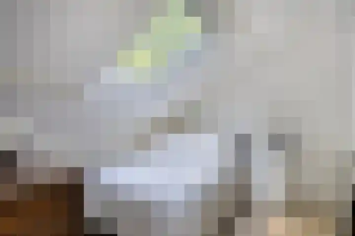Lijsterbeslaan 32 Rosmalen thumbnail 29