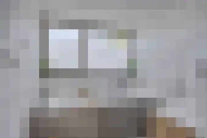 Lijsterbeslaan 32 Rosmalen thumbnail 33