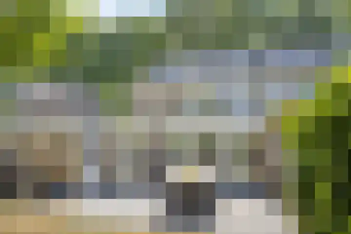 Lijsterbeslaan 32 Rosmalen thumbnail 35