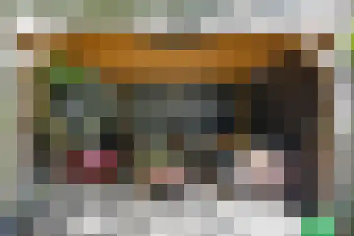 Lijsterbeslaan 32 Rosmalen thumbnail 37