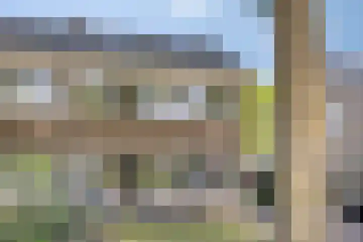 Lijsterbeslaan 32 Rosmalen thumbnail 40
