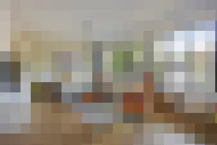 Lijsterbeslaan 32 Rosmalen thumbnail 6