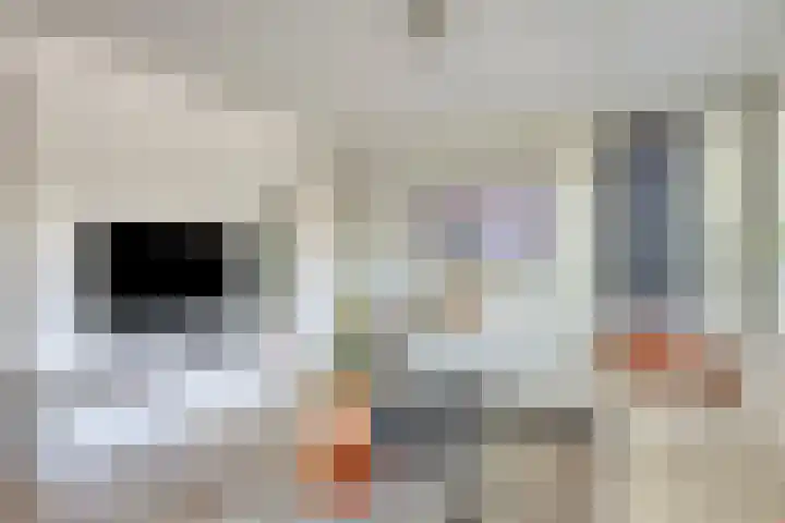 Lijsterbeslaan 32 Rosmalen thumbnail 8