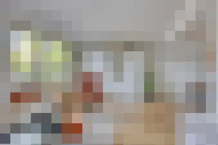 Lijsterbeslaan 32 Rosmalen thumbnail 9