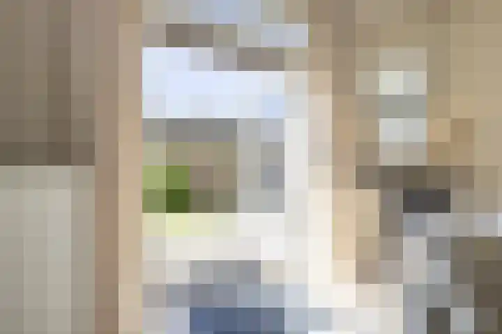 Lijsterbeslaan 35 Beverwijk thumbnail 12