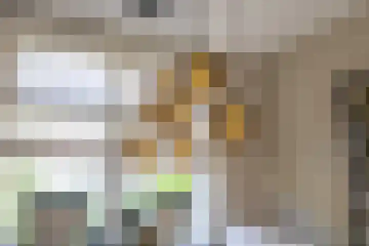 Lijsterbeslaan 35 Beverwijk thumbnail 15