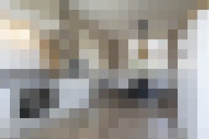 Lijsterbeslaan 35 Beverwijk thumbnail 17