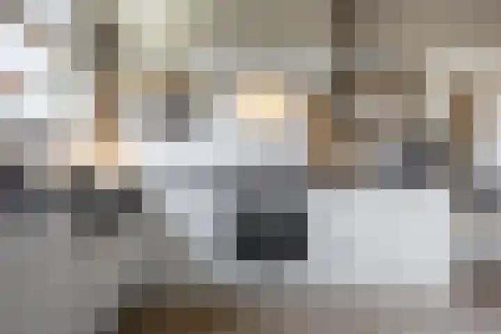 Lijsterbeslaan 35 Beverwijk thumbnail 18