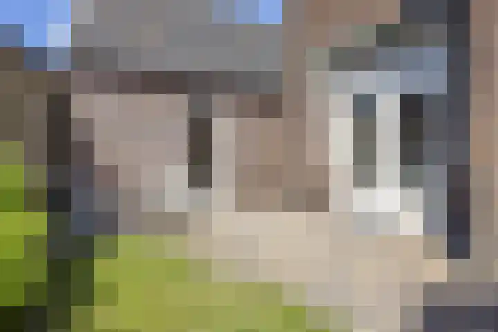 Lijsterbeslaan 35 Beverwijk thumbnail 20
