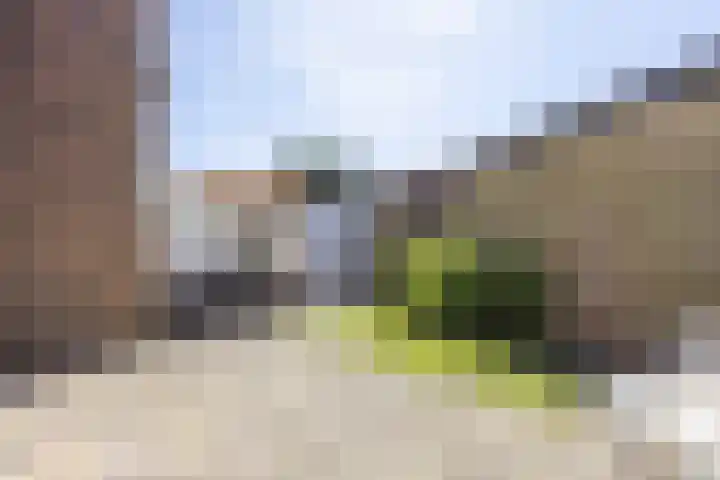 Lijsterbeslaan 35 Beverwijk thumbnail 21