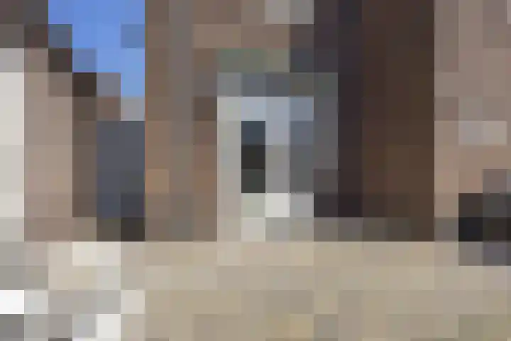 Lijsterbeslaan 35 Beverwijk thumbnail 22
