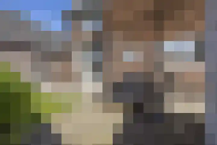 Lijsterbeslaan 35 Beverwijk thumbnail 24