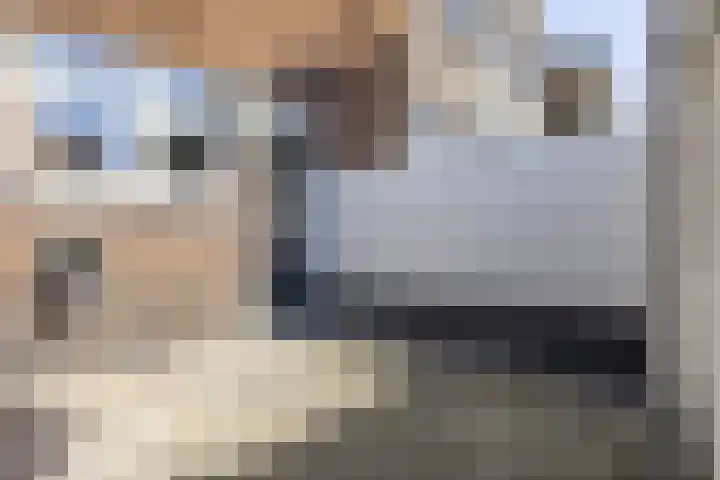 Lijsterbeslaan 35 Beverwijk thumbnail 25