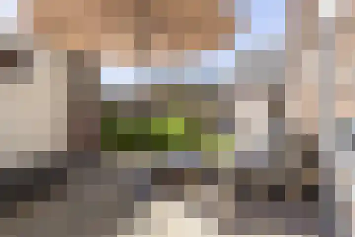 Lijsterbeslaan 35 Beverwijk thumbnail 26