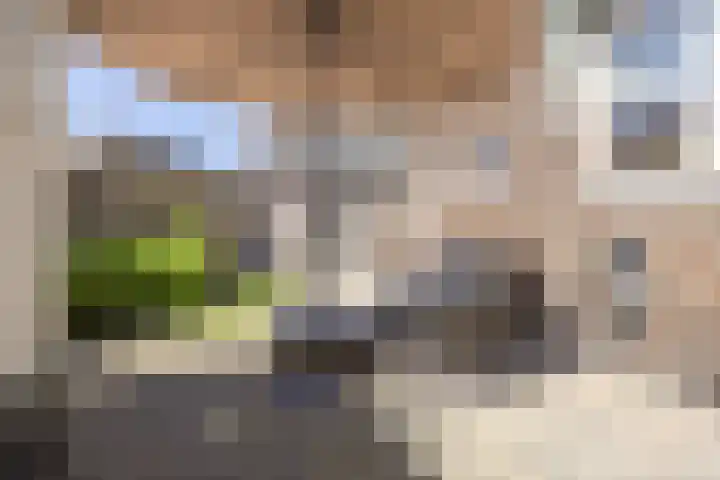 Lijsterbeslaan 35 Beverwijk thumbnail 27