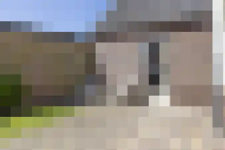 Lijsterbeslaan 35 Beverwijk thumbnail 28