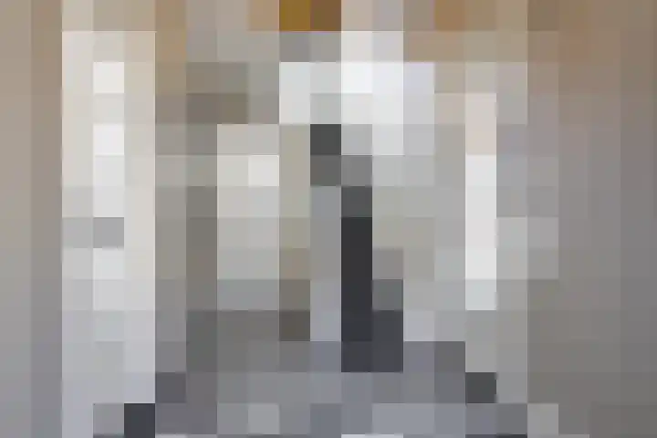 Lijsterbeslaan 35 Beverwijk thumbnail 31