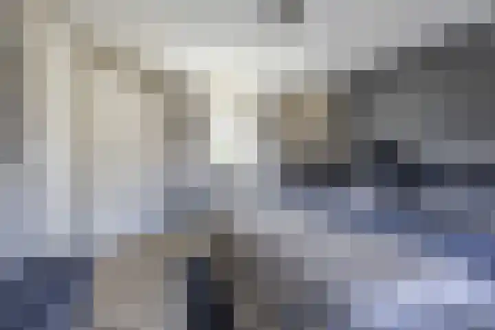Lijsterbeslaan 35 Beverwijk thumbnail 36