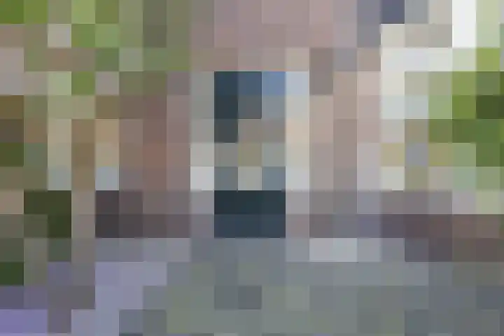 Lijsterbeslaan 35 Beverwijk thumbnail 4