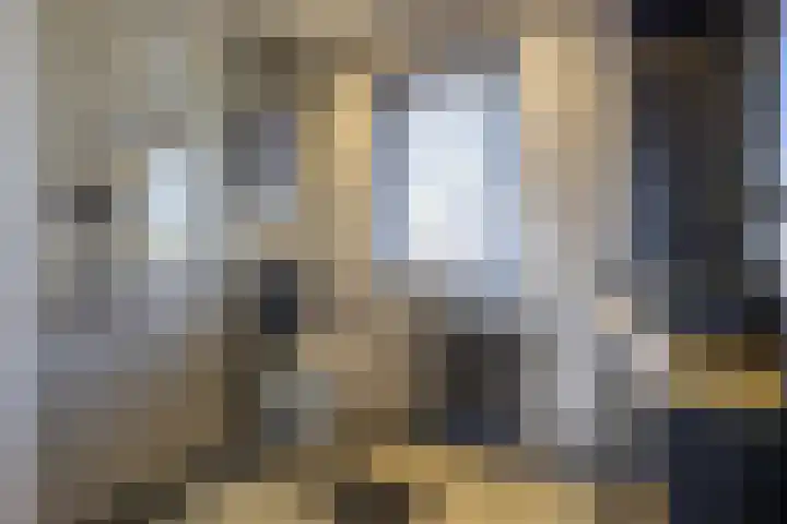 Lijsterbeslaan 35 Beverwijk thumbnail 43