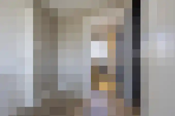 Lijsterbeslaan 35 Beverwijk thumbnail 48