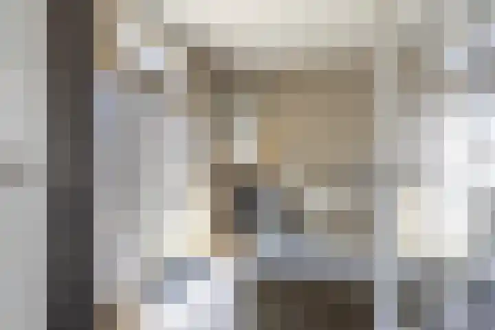 Lijsterbeslaan 35 Beverwijk thumbnail 5