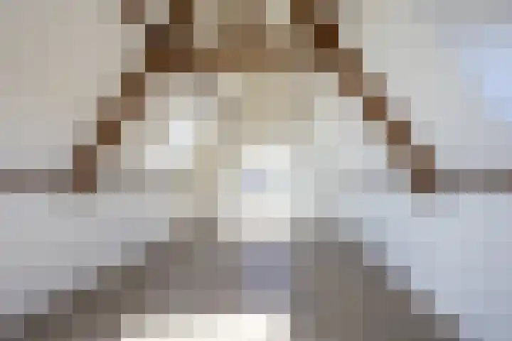 Lijsterbeslaan 35 Beverwijk thumbnail 51
