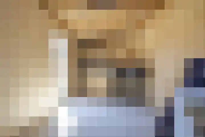 Lijsterbeslaan 35 Beverwijk thumbnail 53
