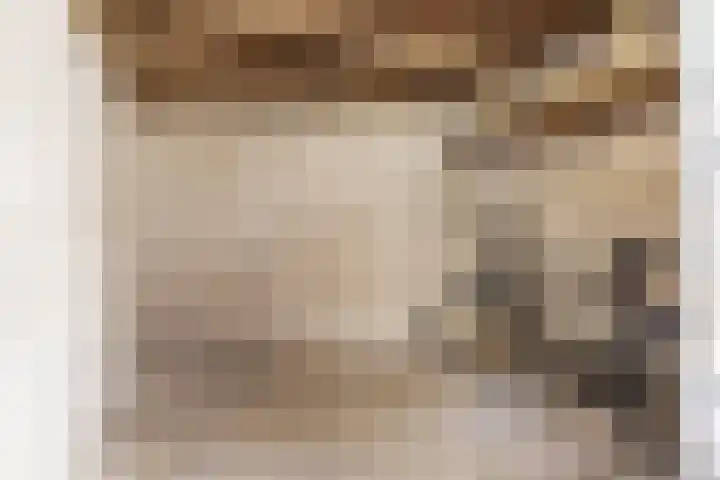 Lijsterbeslaan 35 Beverwijk thumbnail 54