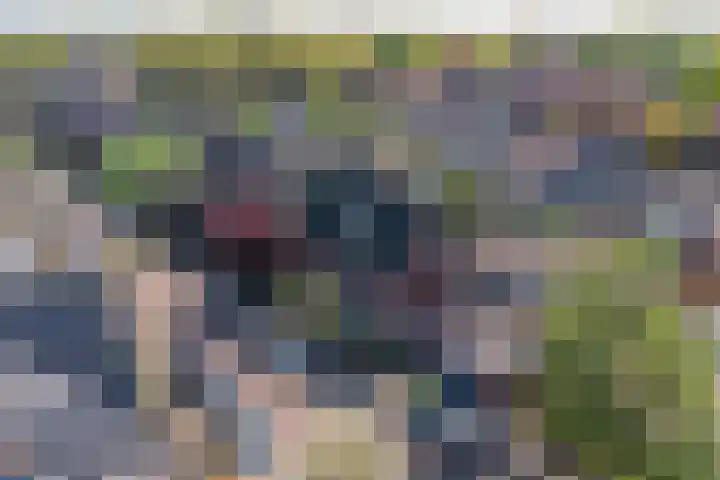 Lijsterbeslaan 35 Beverwijk thumbnail 57