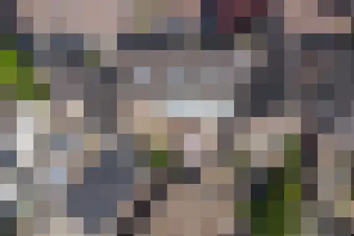 Lijsterbeslaan 35 Beverwijk thumbnail 59